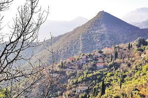 Tivat: Posadiće više od 1.000 sadnica