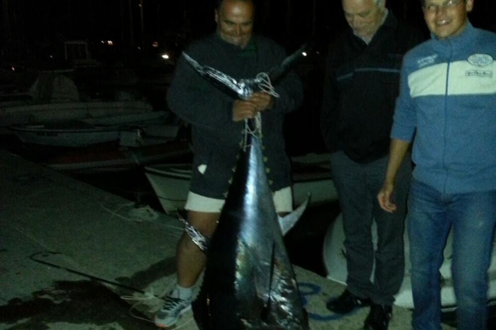 Miroslav Ciganović, tuna 105 kilograma, Foto: Una