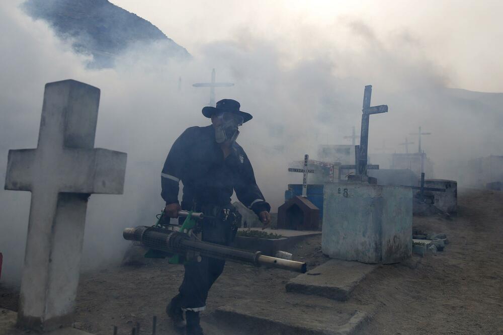 Zika virus, Foto: Reuters