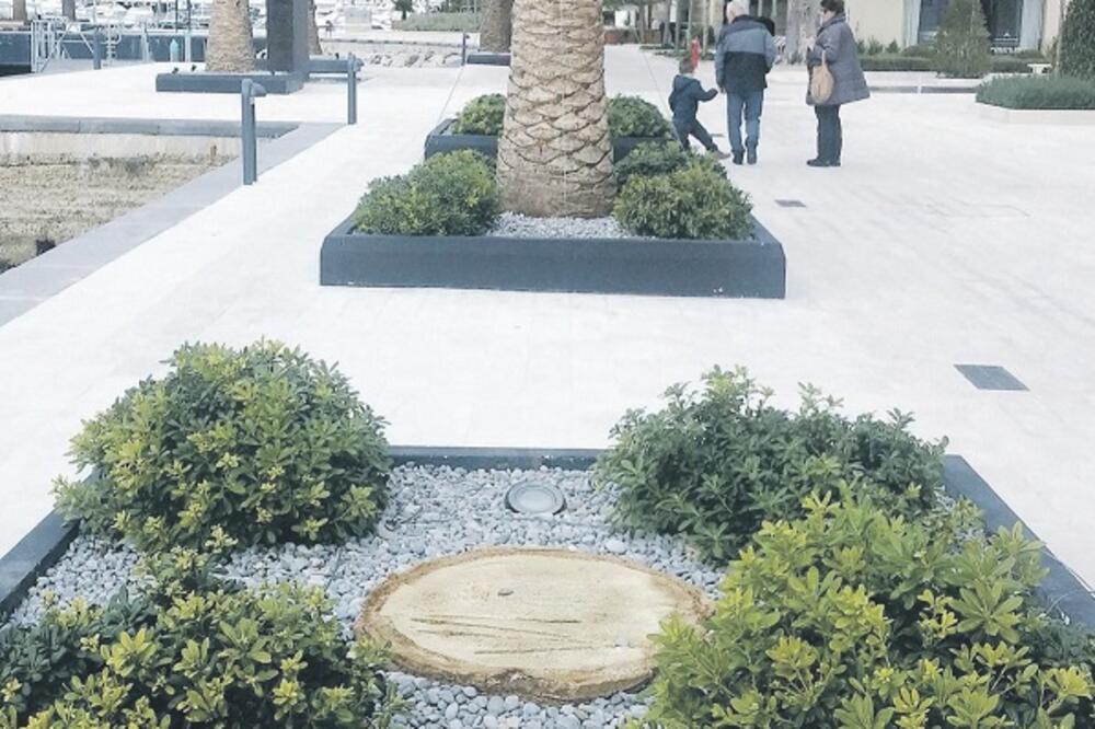 surlaš, Foto: Siniša Luković