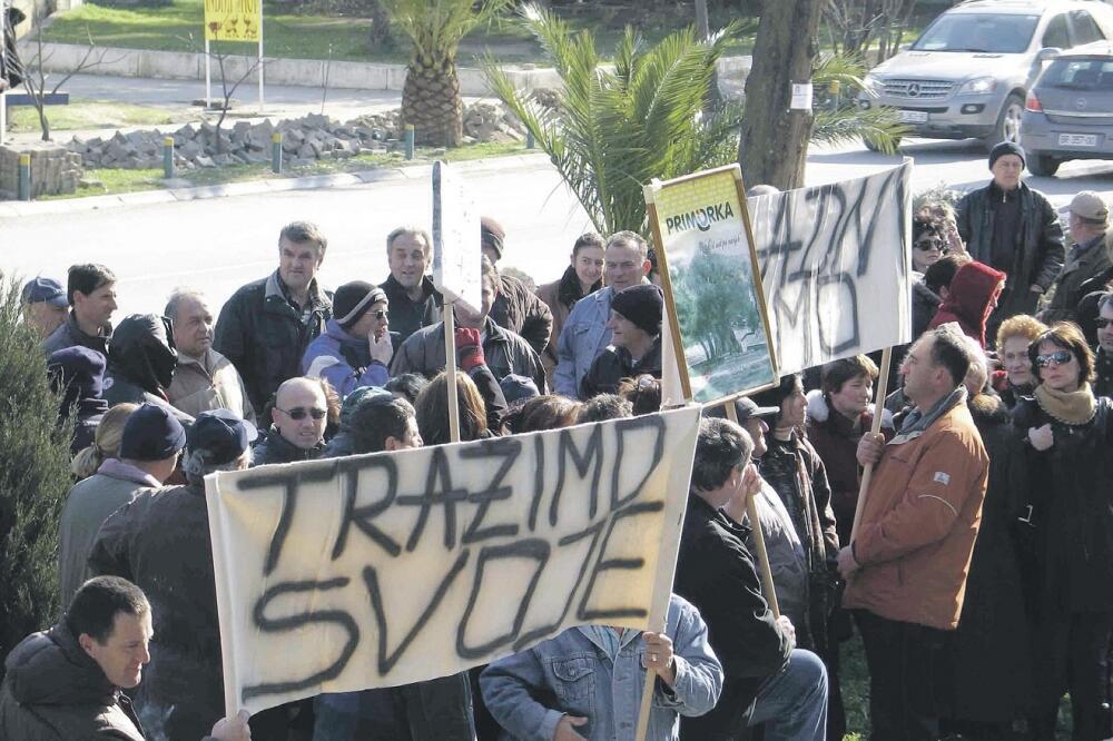 Primorka, radnici, Foto: Arhiva Vijesti