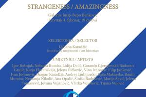 Hercegnovski zimski salon "Očuditi/začuditi" biće otvoren 4....