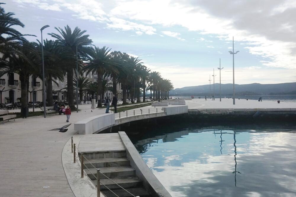 Tivat Pine, Foto: Siniša Luković