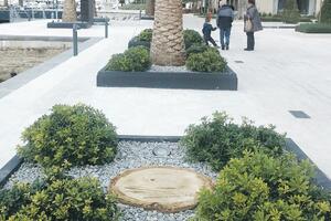 Surlaš mijenja izgled grada