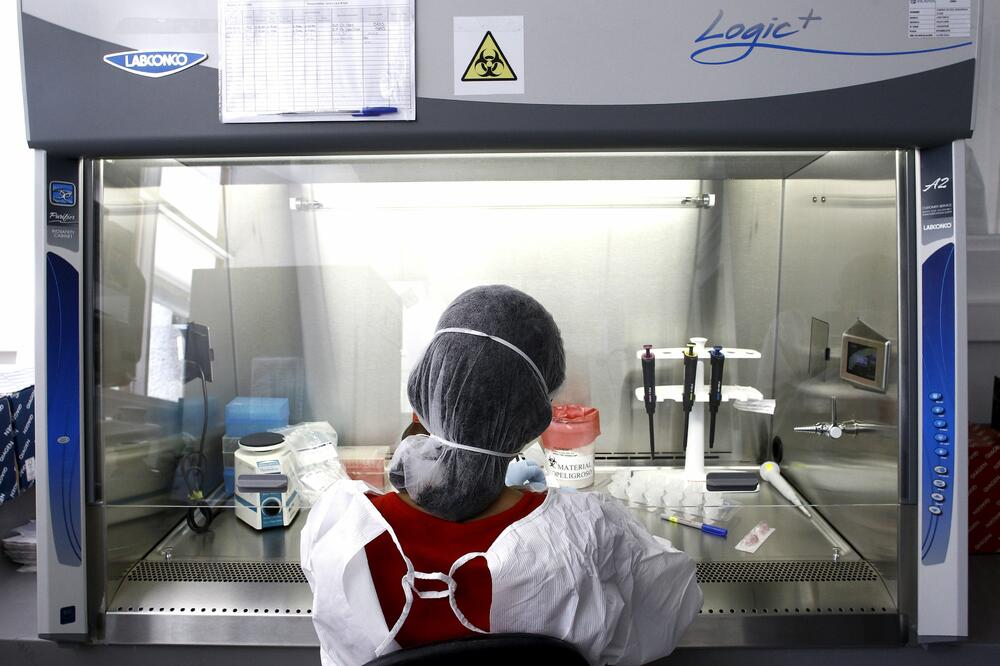 Zika virus, Foto: Reuters