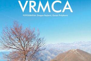 Izložba o izuzetnom florističkom bogatstvu Vrmca