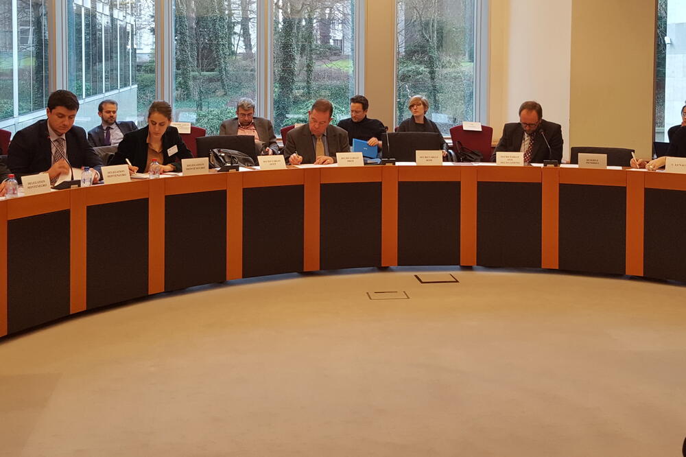 Evropski parlamentarci, Aleksandar Andrija Pejović, Foto: MVPEI