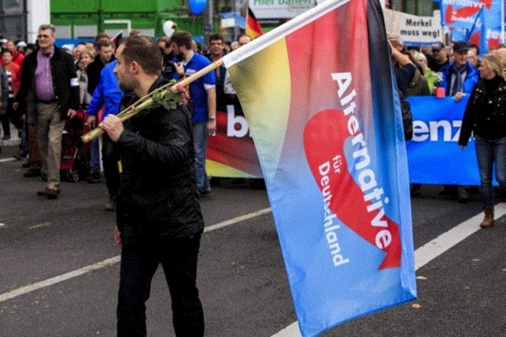 Alternativa za Njemačku, Foto: Twitter