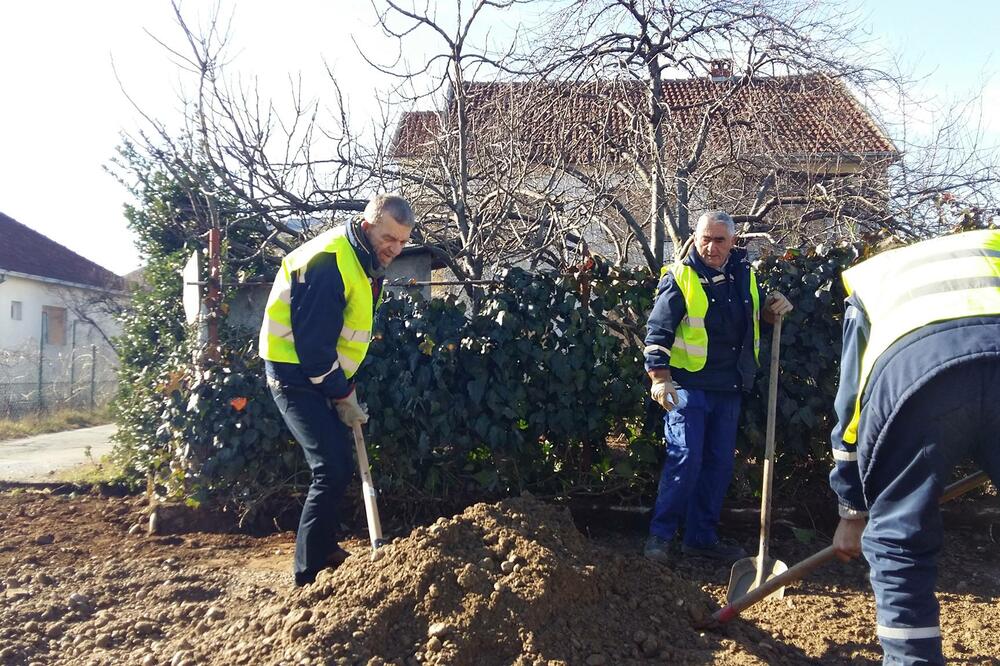 Žuti Serhatlić dnevnica, Foto: Fabrika ideja
