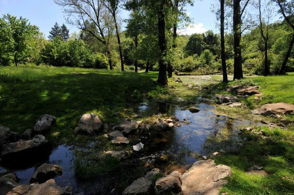 Eko park Blace, Foto: Svetlana Mandić