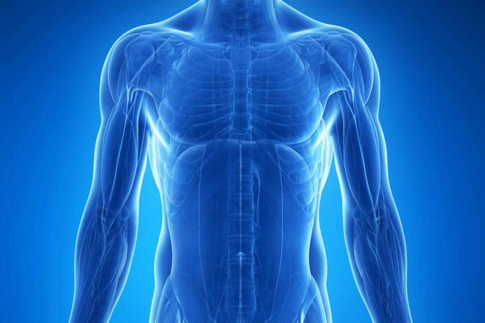 tijelo, Foto: Shutterstock