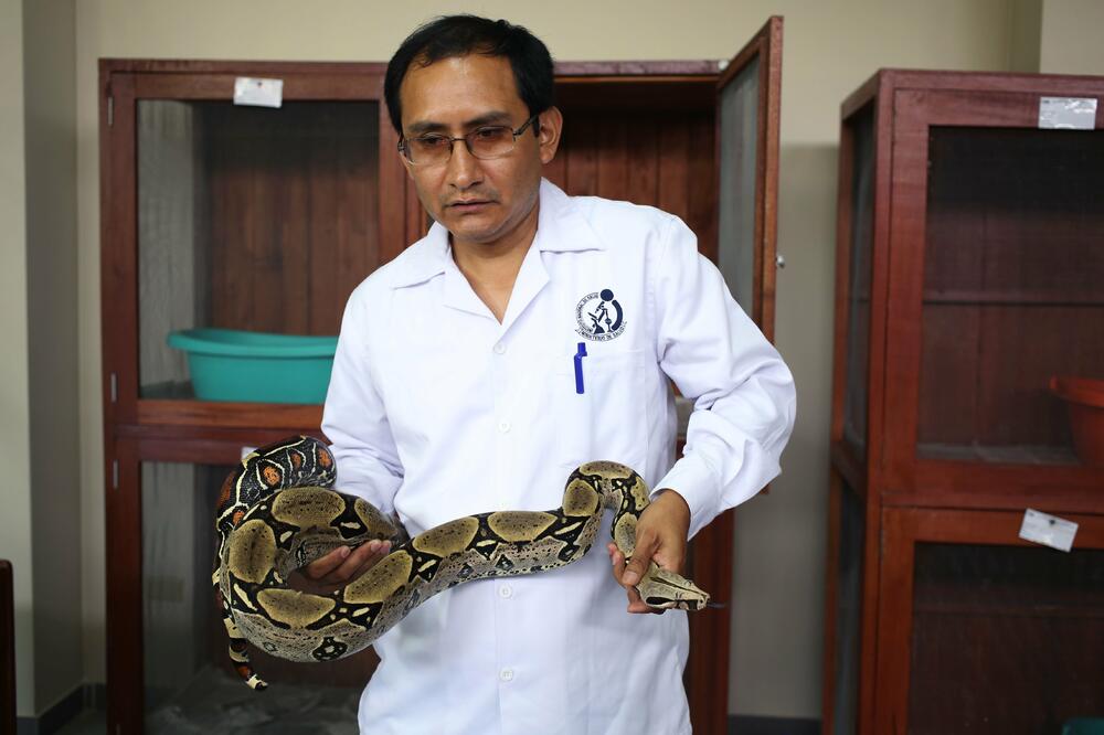 Peru, muzej zmija, Foto: Reuters