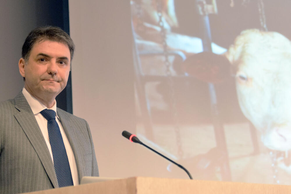 Petar Ivanović, Foto: Boris Pejović