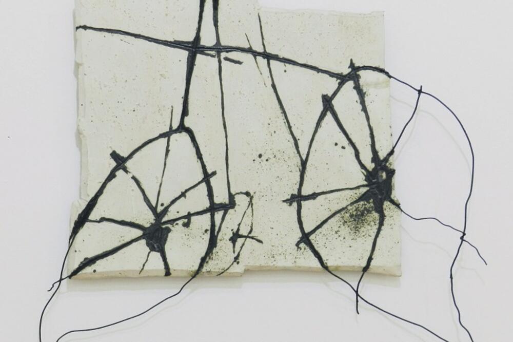 Tijana Dujović Liščević, Foto: Slobodan Slovinić