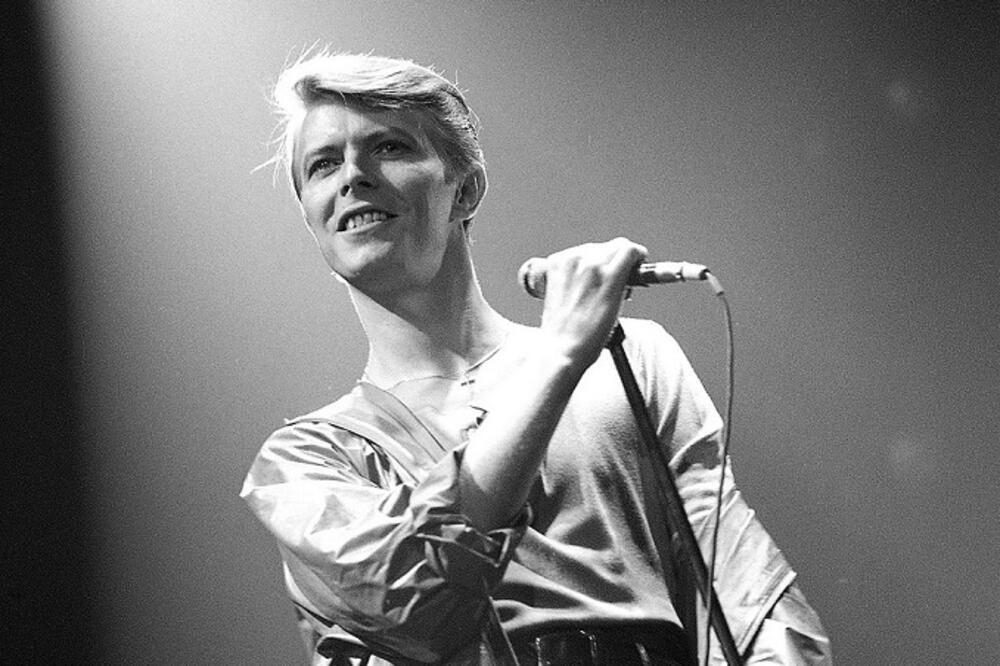 Dejvid Bouvi  (novina)