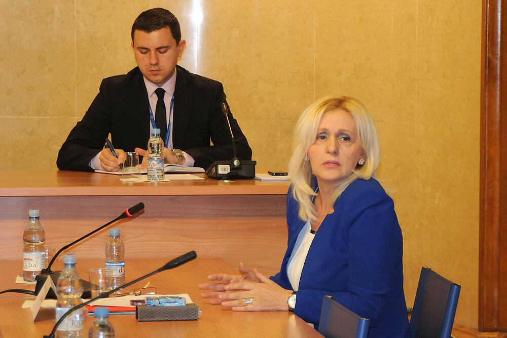 Vukica Jelić, Radna grupa parlamentarnog dijaloga, Foto: Zoran Đurić