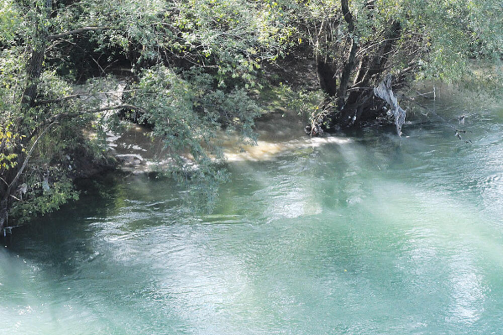 Fekalije, Morača, Foto: Luka Zeković