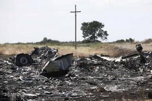 Rusija: Imamo nove dokaze o obaranju aviona iznad Ukrajine