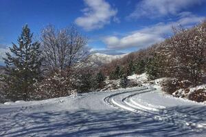 Očišćeni putevi od snijega u zaleđu Herceg Novog
