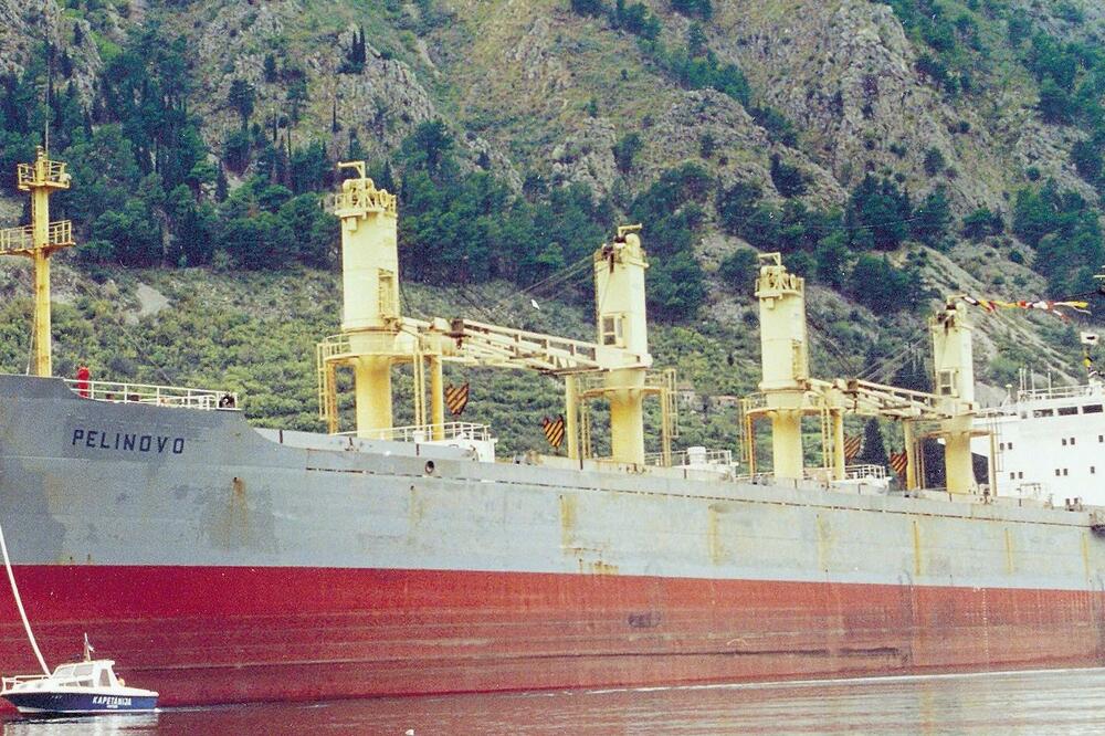 brod Pelinovo (novina)