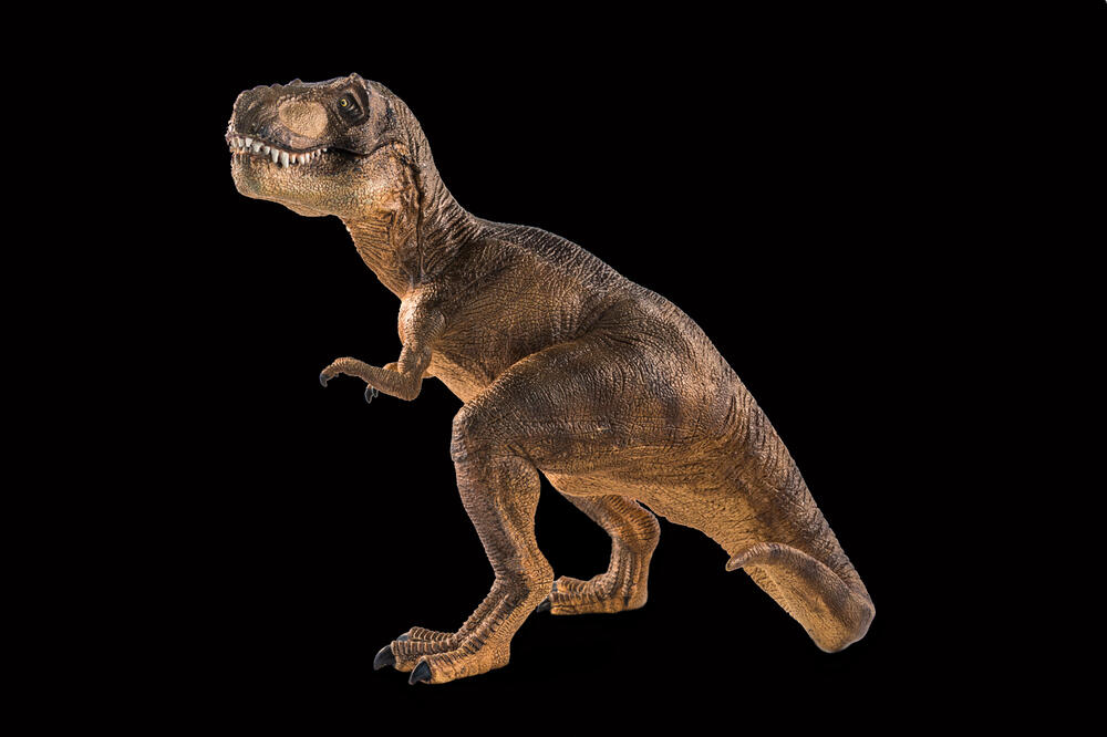 tiranosaurus, Foto: Shutterstock