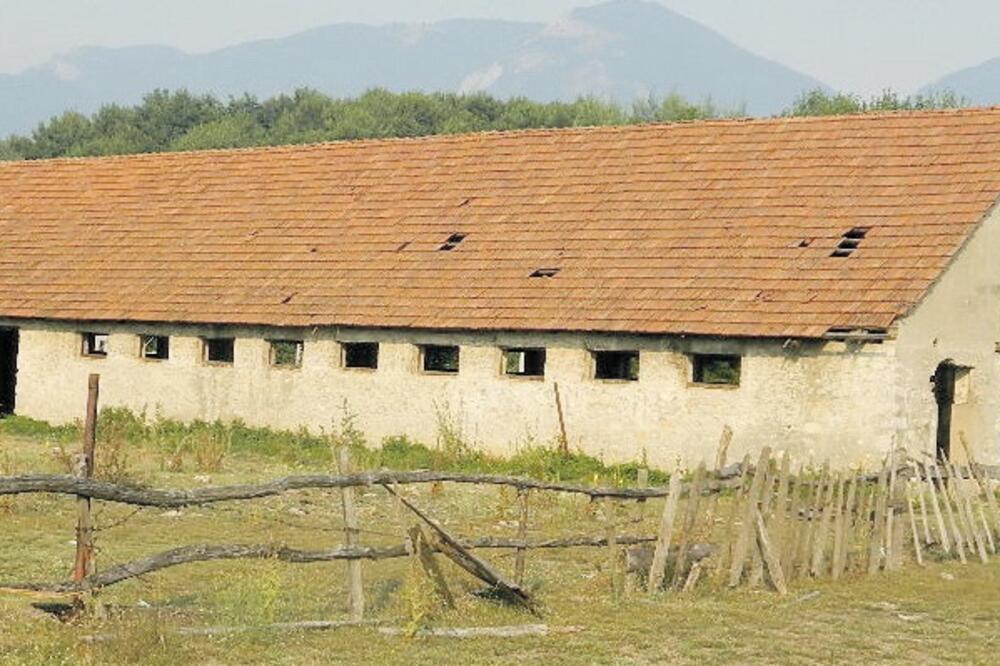 otkupni centar, Berane, Foto: Tufik Softić