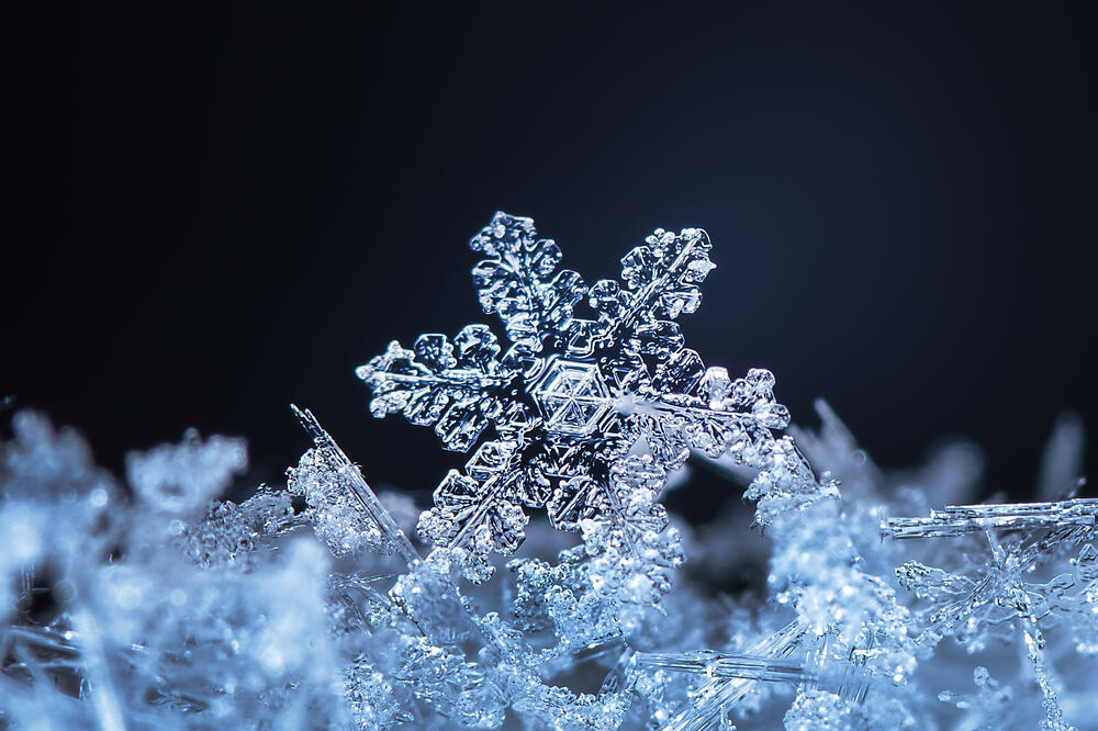 pahulja, Foto: Shutterstock