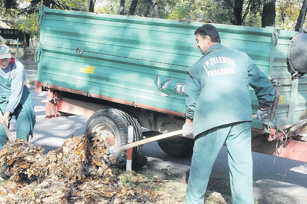 Zelenilo, Foto: Zoran Đurić
