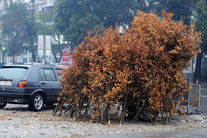 Počela prodaja badnjaka u Podgorici, prodavci nezadovoljni
