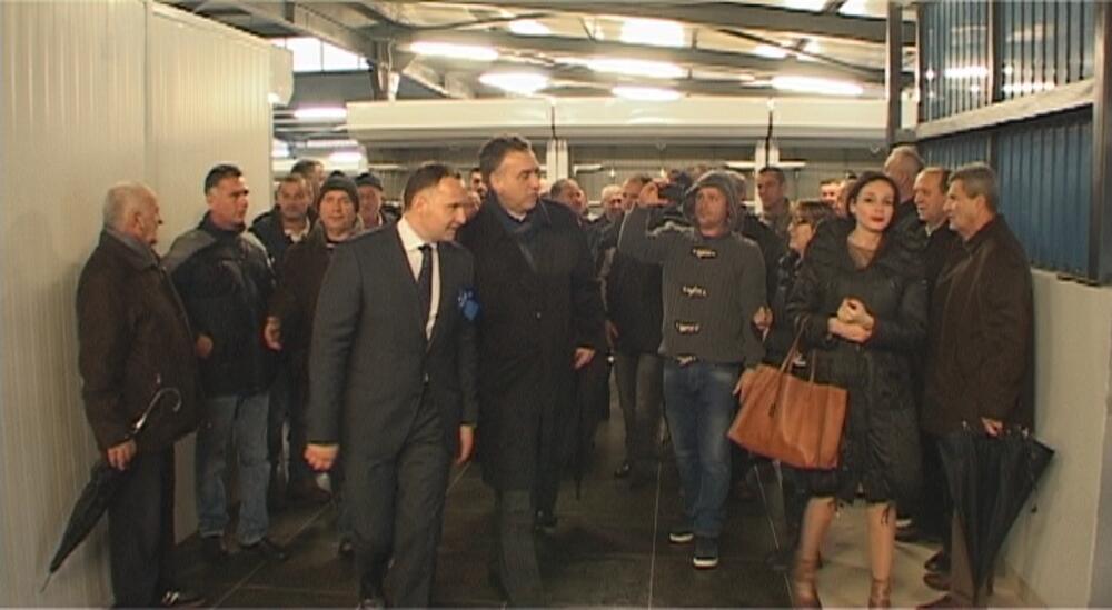 Aleksandar Žurić, Filip Vujanović