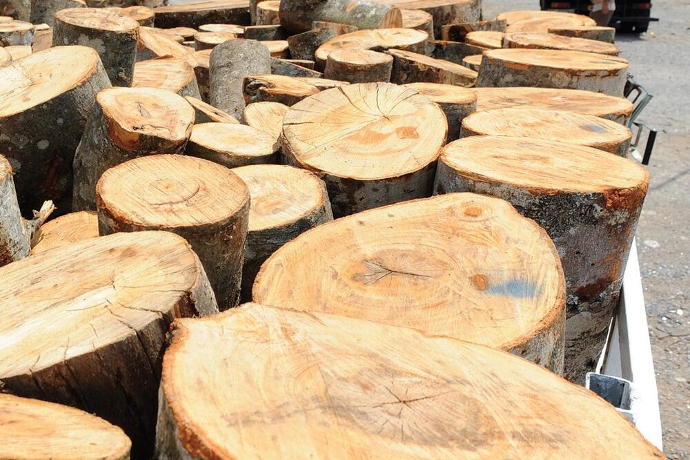 drva za grijanje, Foto: Luka Zeković