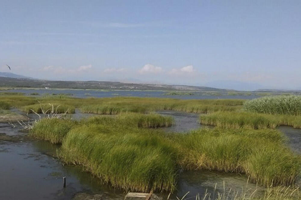 Solana Ulcinj, Foto: CZIP