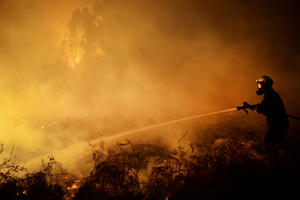 Više od 130 šumskih požara bjesni u Španiji