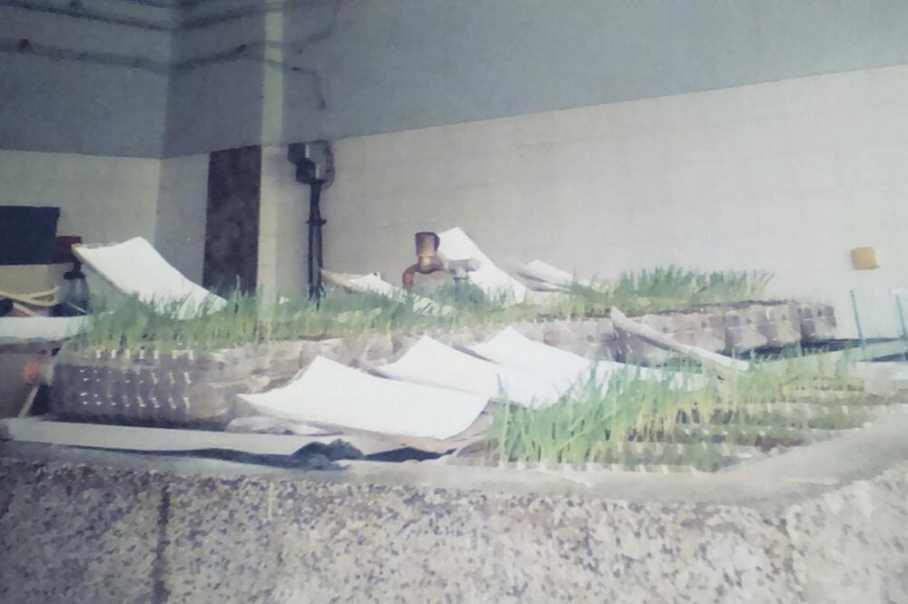 Ana Popčetović, izum