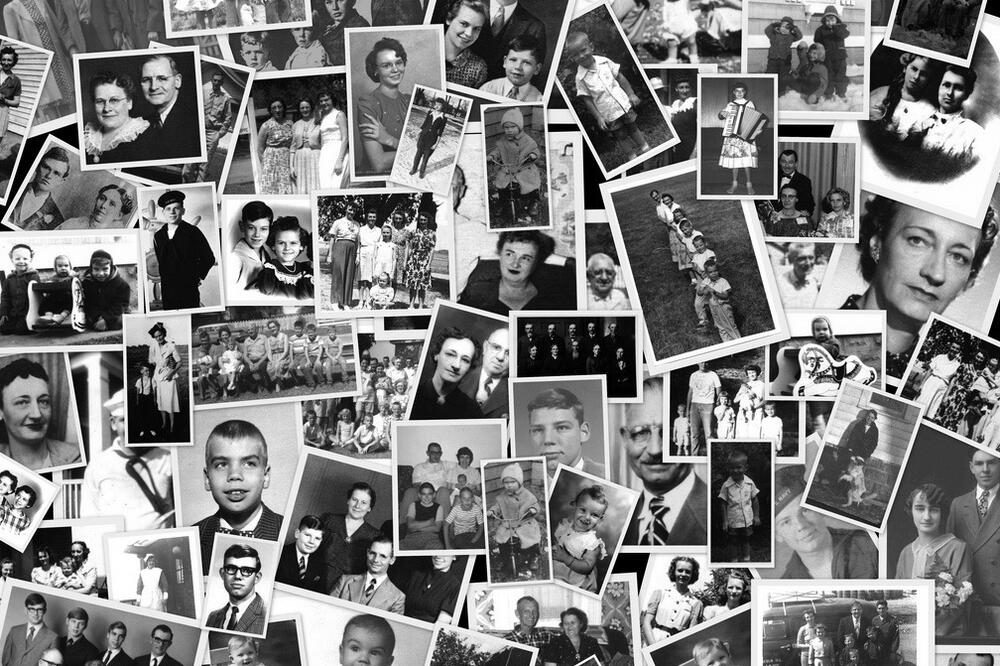 Njegoševa nagrada (Novina)