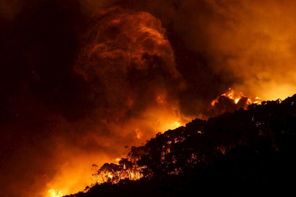 Australija požar, Foto: Reuters