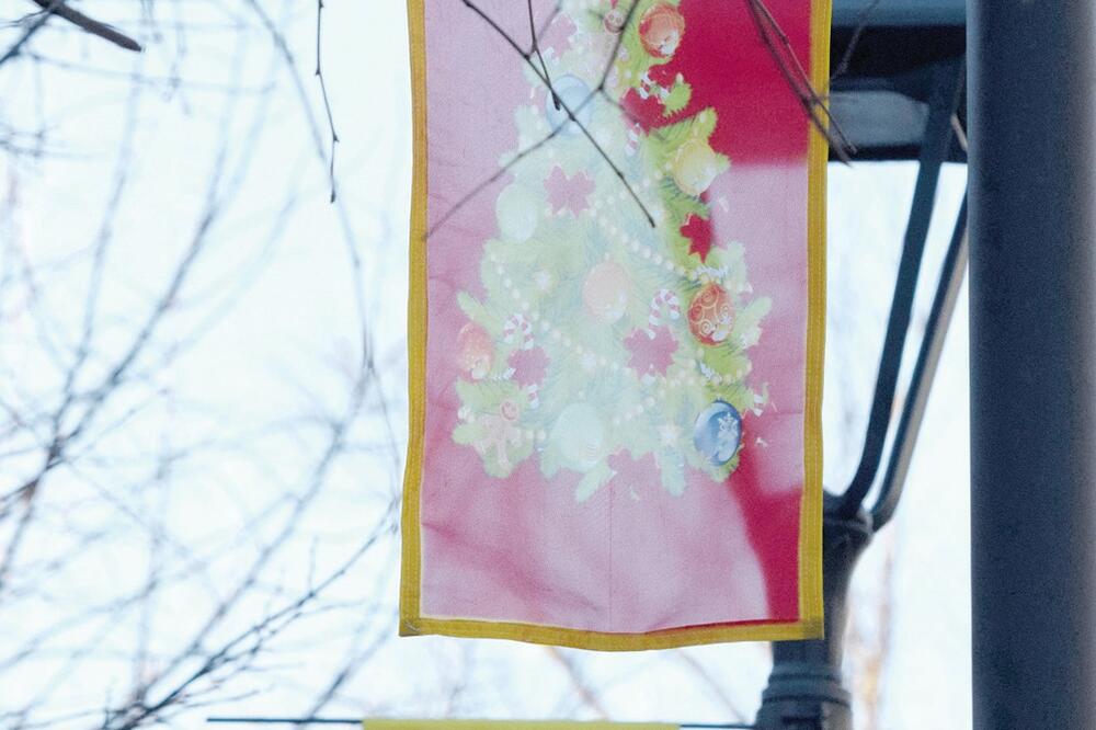 Cetinje zastava jelka, Foto: Boris Pejović