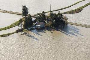Južna Amerika pogođena poplavama i sušama zbog El Ninja