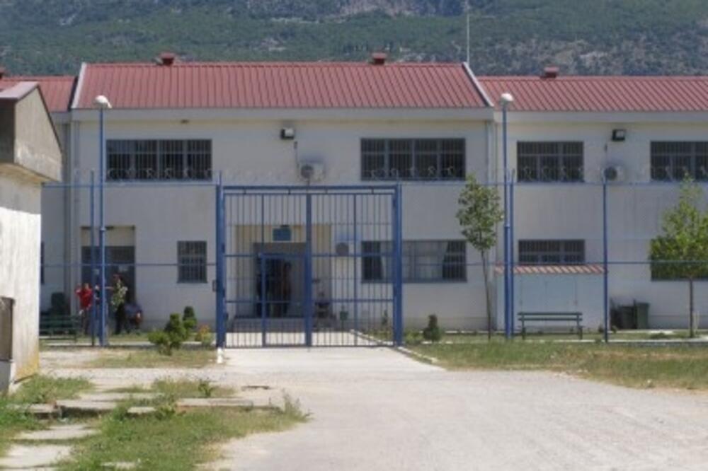 ZIKS_1, Foto: Foto. S. PRELEVIĆ