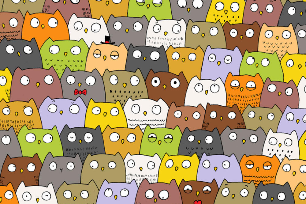 Dudolf, Foto: Facebook