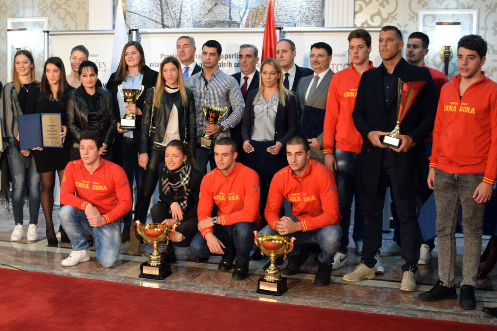 cok, Foto: Boris Pejović