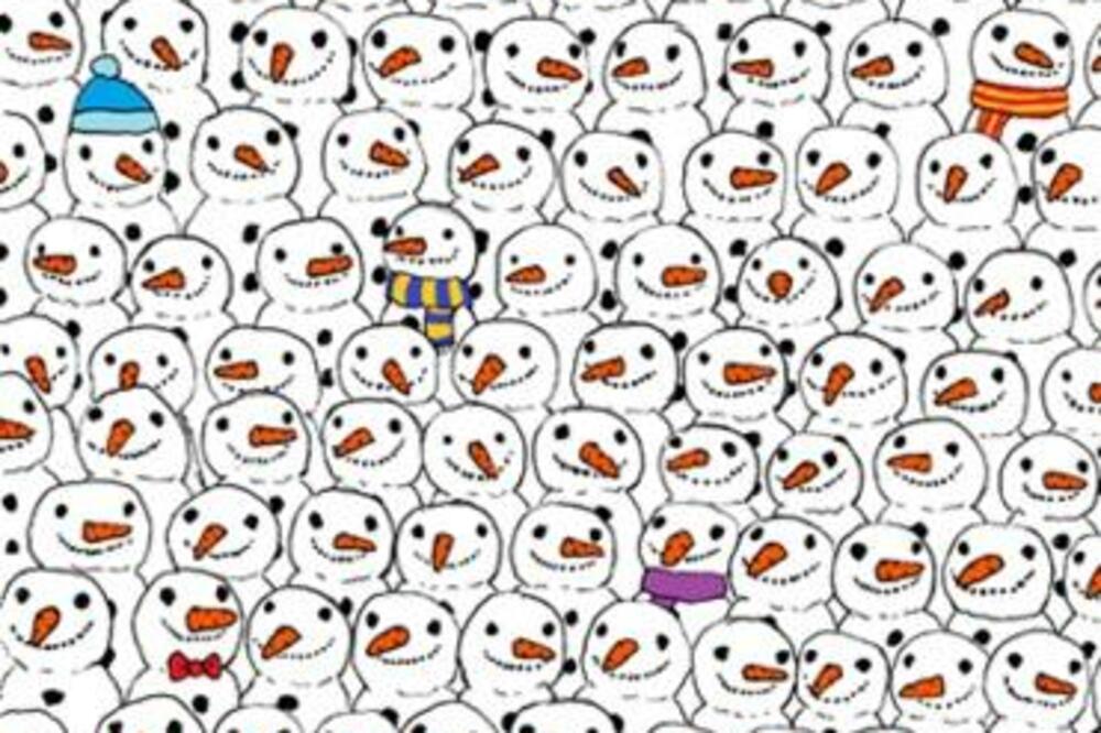 panda, Foto: Facebook