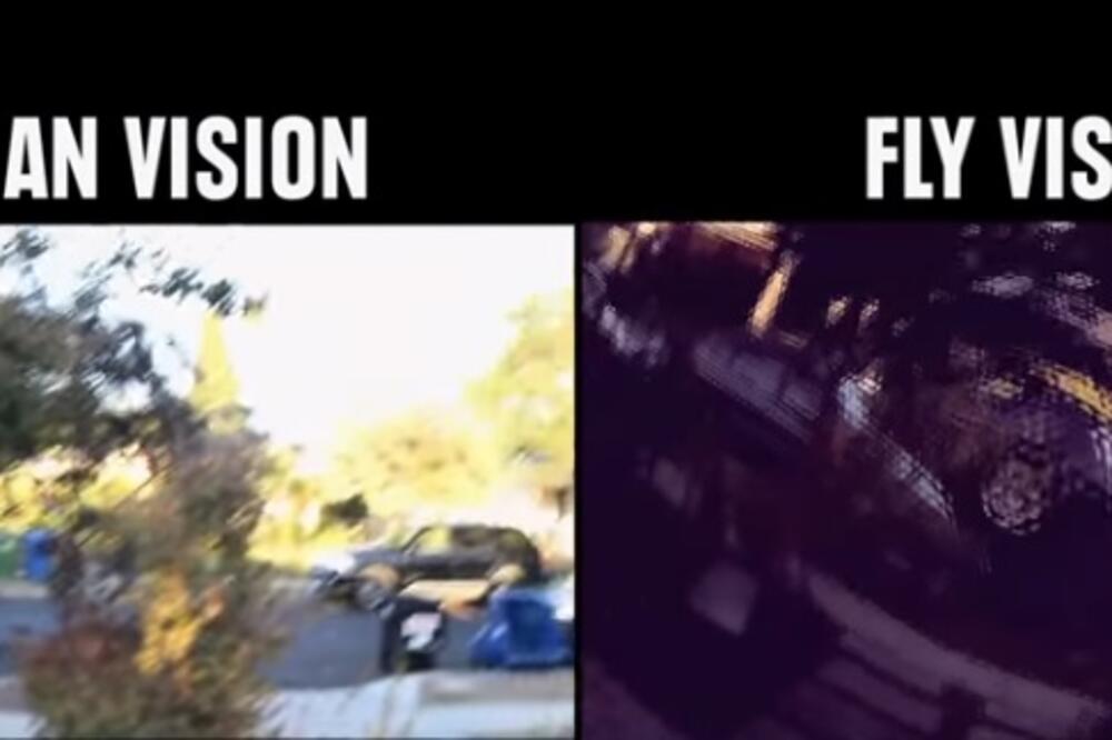 oči, Foto: Screenshot (YouTube)