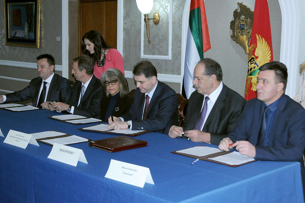 Petar Ivanović, Hafsa Al Ulama, Dragan Brković, Đorđije Goranović, Foto: Zoran Đurić