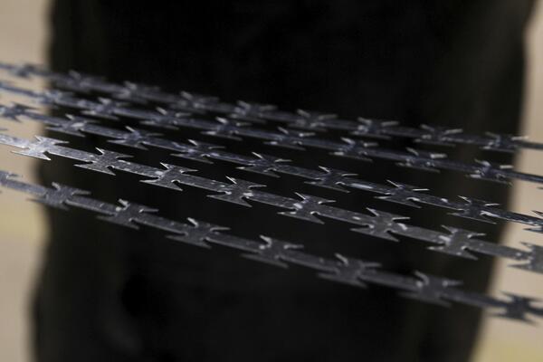 Domovina Prešerna, Mladine i Pankrta neće da bude zemlja žice