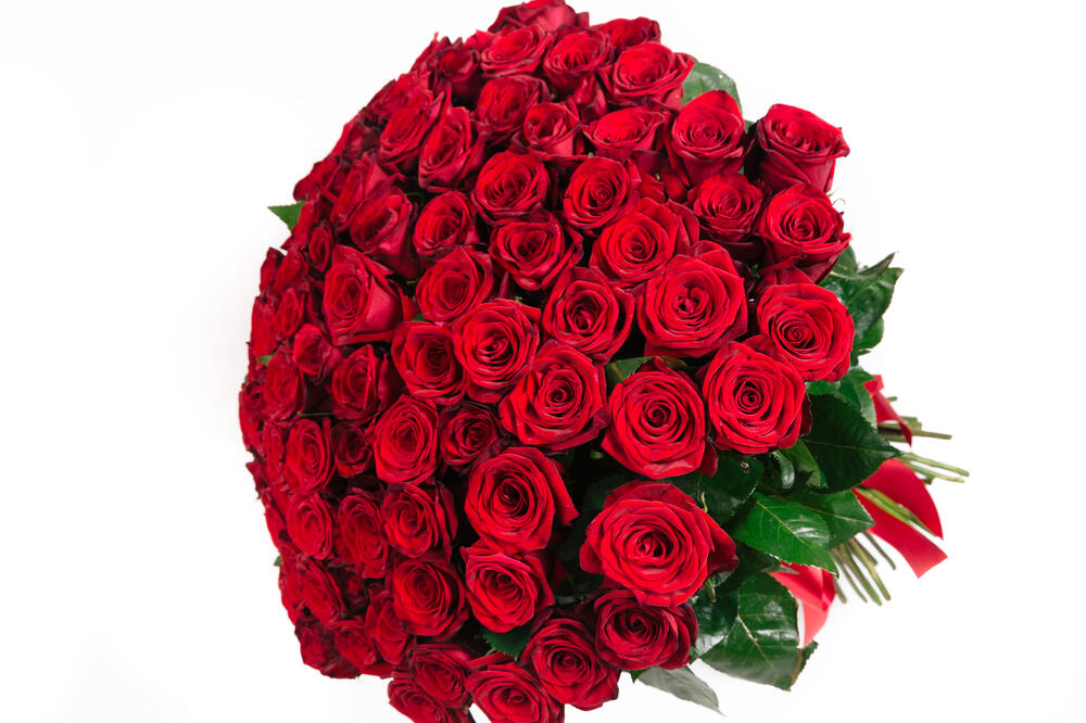 101 ruža, Foto: Shutterstock.com