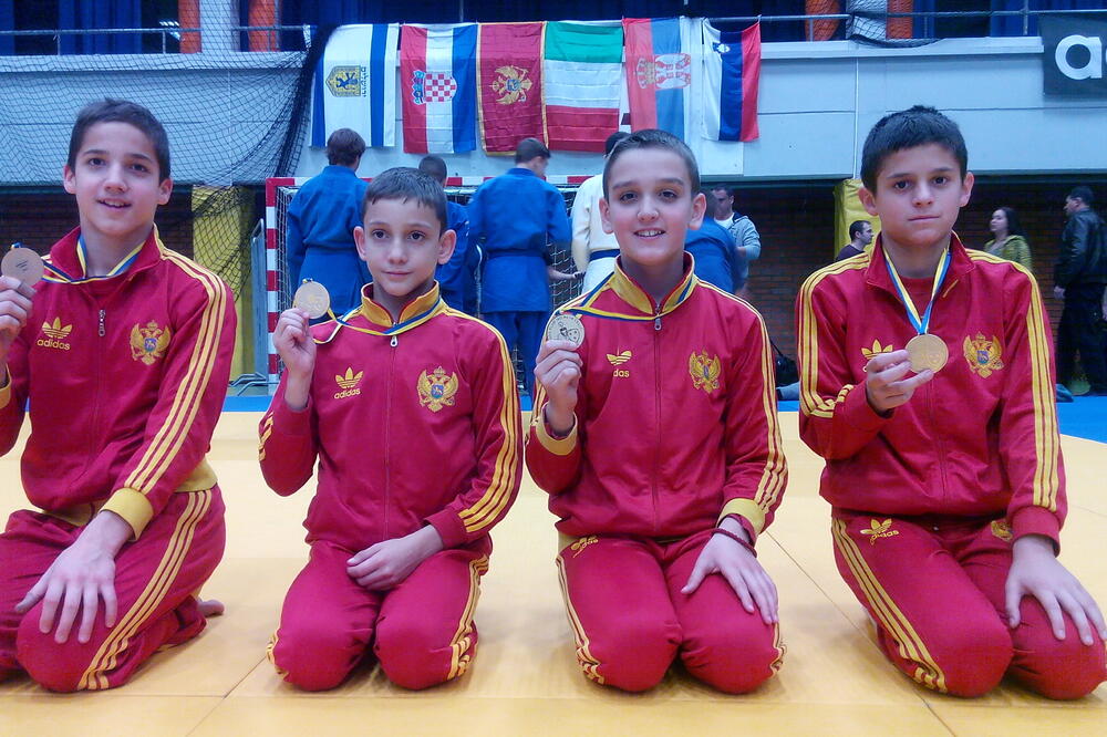 Onogošt, Foto: Onogošt