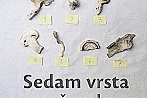 Vej o zakonitosti ljudskog postojanja