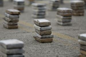 Španija: Zaplijenjen kokain "prerušen" u drvo i ugalj