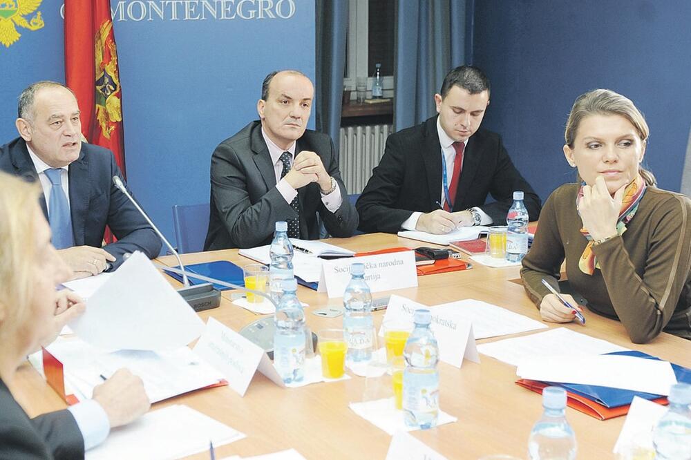 Radne grupe, Foto: Savo Prelević